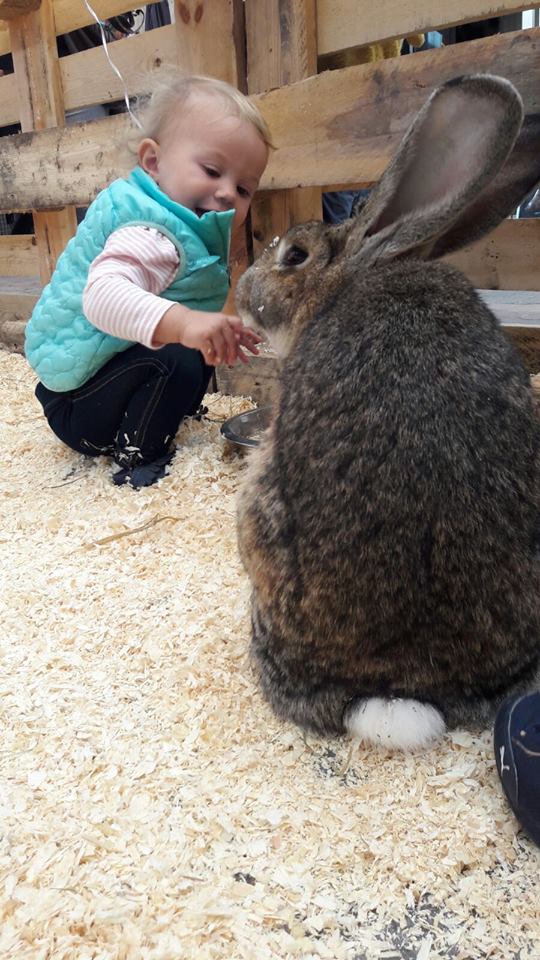 Schattige huisdieren bij Dierenwinkel GroenRijk Middelburg Schattige huisdieren bij Dierenwinkel GroenRijk Middelburg