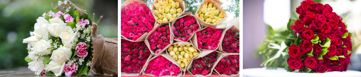 Blumen kaufen Middelburg - GroenRijk Middelburg