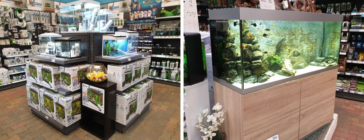 Aquarium kopen | Vissenvoer | GroenRijk Middelburg