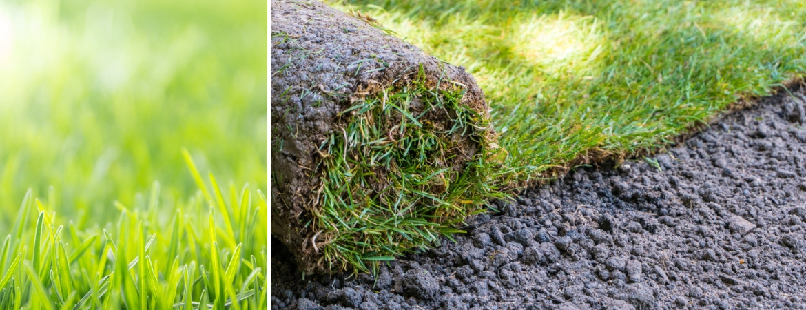 Graszoden bij GroenRijk Middelburg