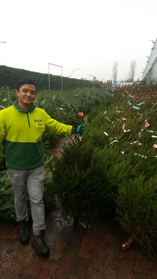 Kerstbomen kopen bij GroenRijk Middelburg Kerstbomen kopen bij GroenRijk Middelburg