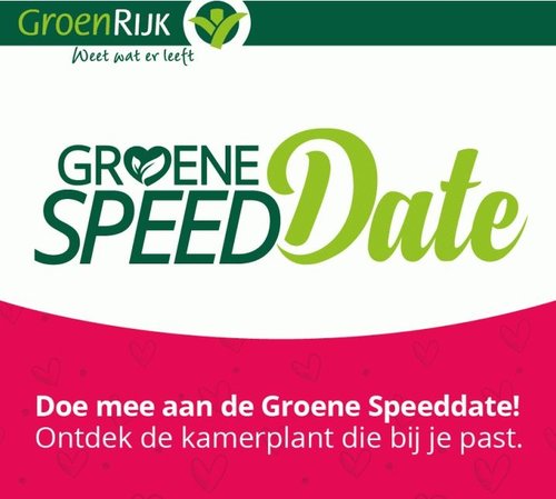 Groene Speeddate: ontdek de kamerplant die bij u past!