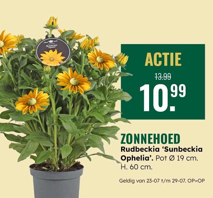 Weekaanbieding: Zonnehoed