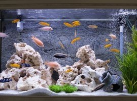 Aquarium